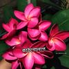 sabina_akthar_93