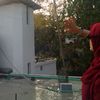 userazia475