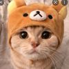 kaklong_74