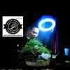 arief085700654658