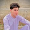 neeshamshaheen
