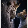mahmud_sherwani1
