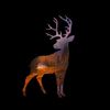 hunter082112