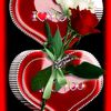 user3352454454637m