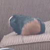 maddie_51903