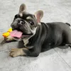 petworldjooyoo