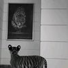 abushov_255