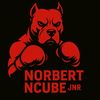 norbreezy1