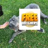 freehatcher1
