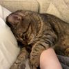 hannahc.j28