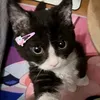 catarina67