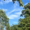 fizzlesizzle31