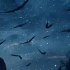 user3bnfvlysh9