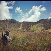 faizalneo5