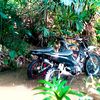 rendiirwan711
