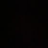amarielohim1