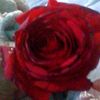 user6877691984205