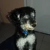 kiw_kevin