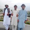alifzada239