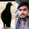 waseem.gujjar219