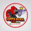 guppy_nara