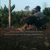 putra_virgo45