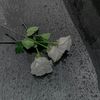 aiza_sheikh8