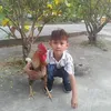nguyn.khang186