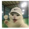 userprintz23_34