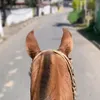 samuelvieiraxx