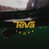 teva.vn