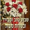 niy76337