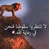 user2430573552099