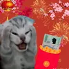 trntq13