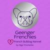 geenger_frenchies