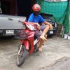 wgg967