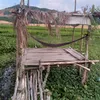 user3800030817379