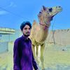 user8103693470393