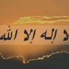 user7744817905525