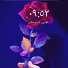 gxk611