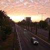 viejocureke88