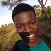 bush_four
