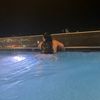 kary_1990d