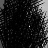 abood_aaoo