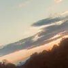 rostasbecike777