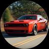mo_goat4