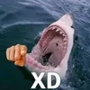 th3_1nternet_sh4rk