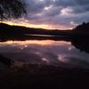 musicismytherapy420
