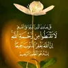 user2738244860654