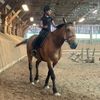 horselover5030
